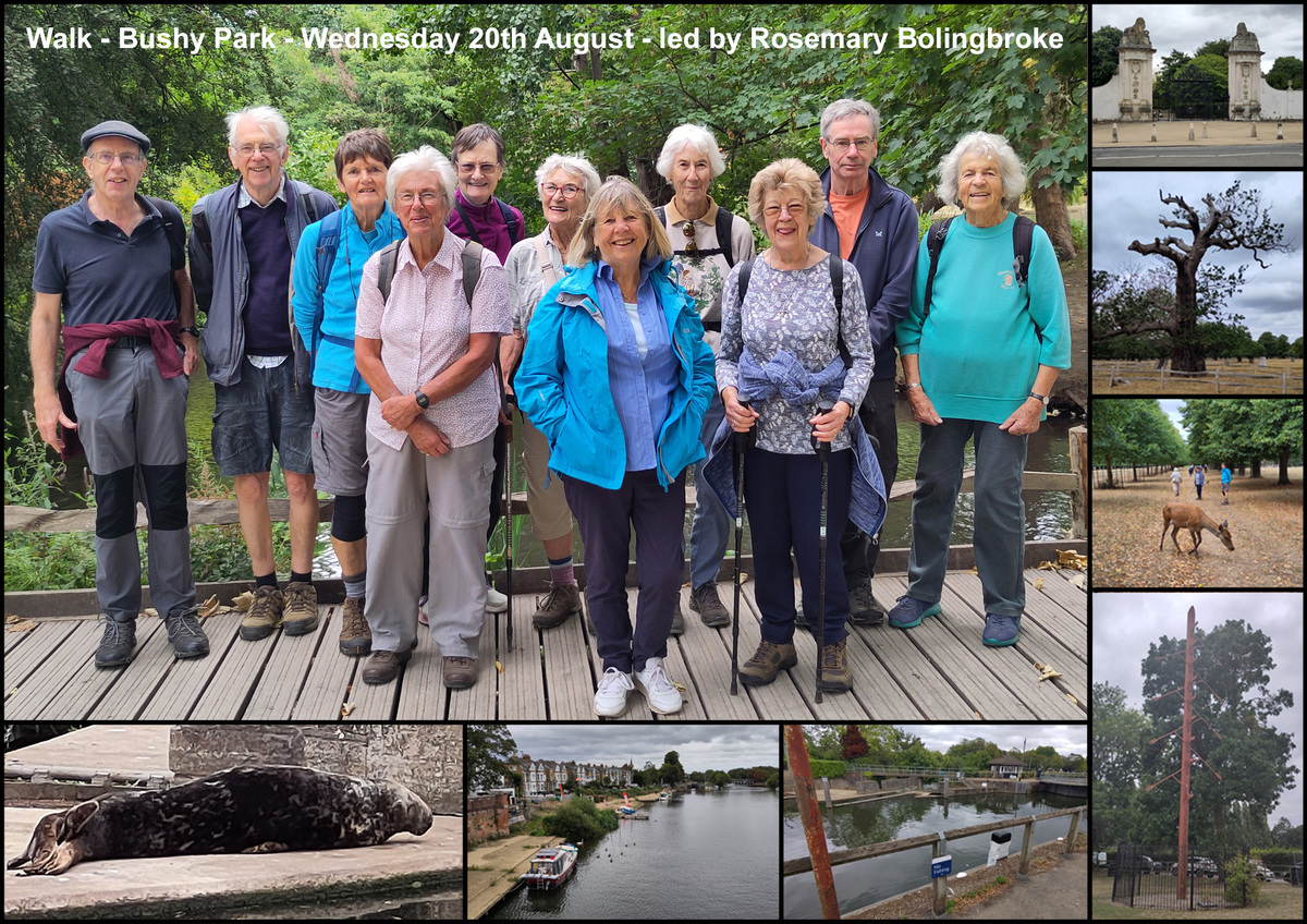 Walk - Bushy Park - 20th August 2025